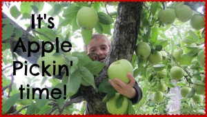 Apples!